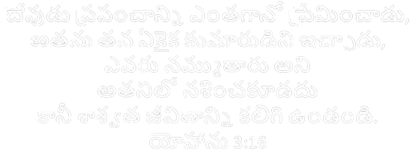 బైబిల్ వచనం జాన్ 3:16